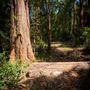 FILM Sunshine Coast Backlot