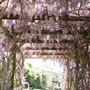 Tamborine Mountain Flower Farm