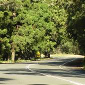 Currumbin Creek Road