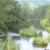Mary River