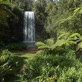 Millaa Millaa Falls