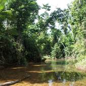 Mission Beach (Cairns Region FNQ)
