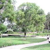 Gold Coast Regional Botanic Gardens - Rosser Park