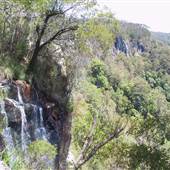 Springbrook National Park