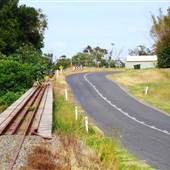 Roadside Cane Train Track