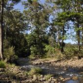 Venus Pools, Stream & Forest
