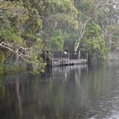 Harrys Hut Area (Noosa Everglades)