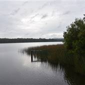 Lake Como (Noosa Everglades)