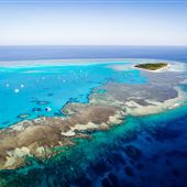 Great Barrier Reef - Lady Musgrave Island - Wallaginji