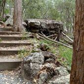 Toohey Forest - Sandstone Circuit