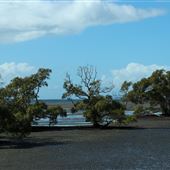 Nudgee Beach