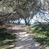 Main Beach - Phillip Park