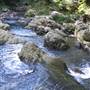 Austinville Rock Pools