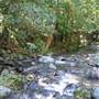 Austinville Rock Pools
