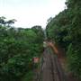 Barron Falls (FNQ)