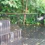 Barron Falls (FNQ)