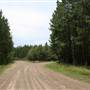 Coochin Creek - Pine Plantation / Qld State Forest