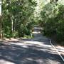 Bellbird Grove - D'Anguilar National Park