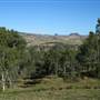 Boonah - Township
