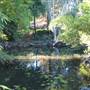 Mt Coot-tha Botanical Gardens