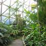 Mt Coot-tha Botanical Gardens