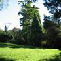 Mt Coot-tha Botanical Gardens