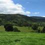 Cedar Glen Farmstay
