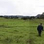Cedar Glen Farmstay