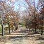 Cedar Glen Farmstay