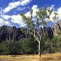 Mareeba Region - Chillagoe-Mungana Caves National Park