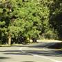 Currumbin Creek Road