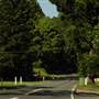 Currumbin Creek Road