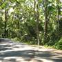 D'Aguilar National Park