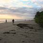 Port Douglas - Four Mile Beach