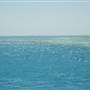 Hardy Reef