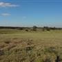 Jimboomba Turf Farm