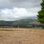 Warwick Region - Killarney