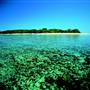 Great Barrier Reef - Lady Musgrave Island - Wallaginji