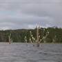 Lake Tinaroo