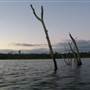 Lake Tinaroo