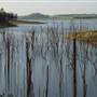 Lake Tinaroo