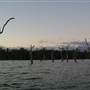 Lake Tinaroo