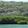 Great Keppel Island - Wop-Pa - Leekes Beach & Creek
