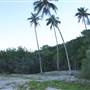 Whitsundays - Lindeman Island
