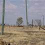Longreach Landscape