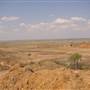 Longreach Landscape