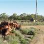 Longreach Township