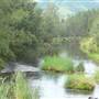 Mary River
