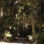 Mary Cairncross Scenic Reserve and Sanctuary