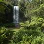 Millaa Millaa Falls